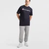 Klassinen graafinen T-paita, Script Logo – Big & Tall
